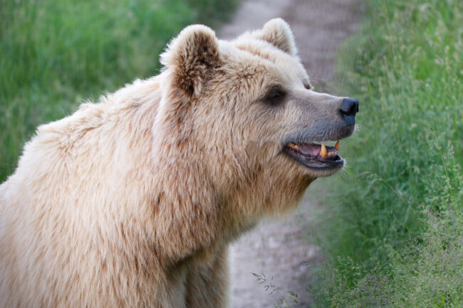 Ignore Pain Points At Your Own Peril Ignore Pain Points At Your Own Peril